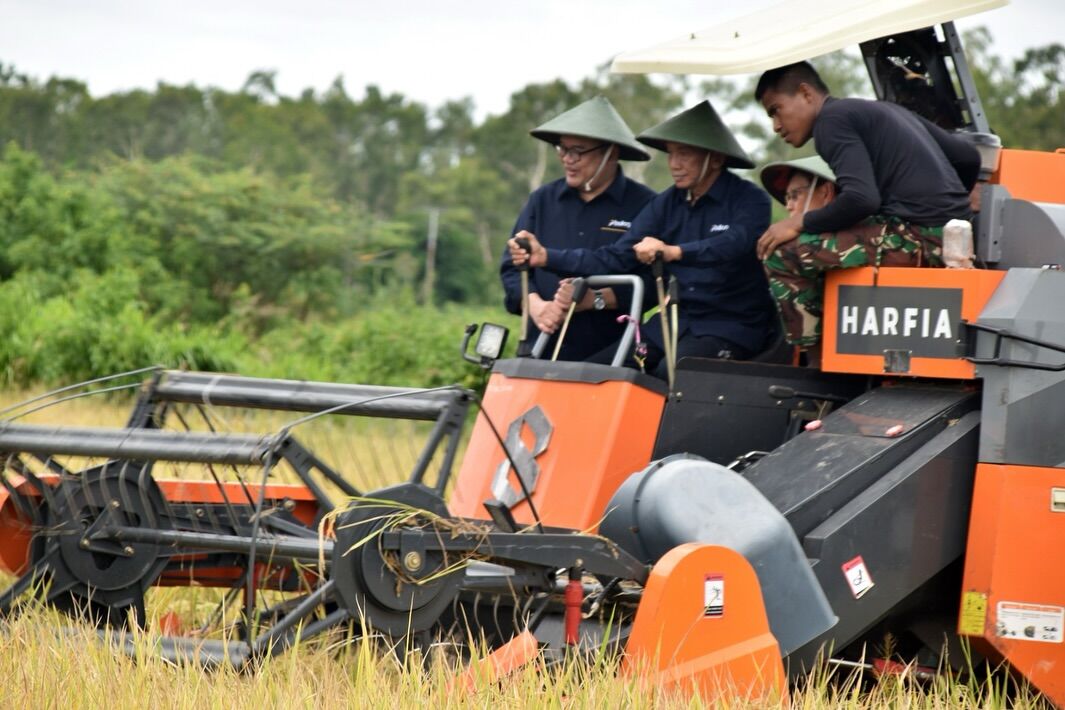 Panen Raya di Tanah Miring: Bukti Transformasi Pertanian Papua Selatan